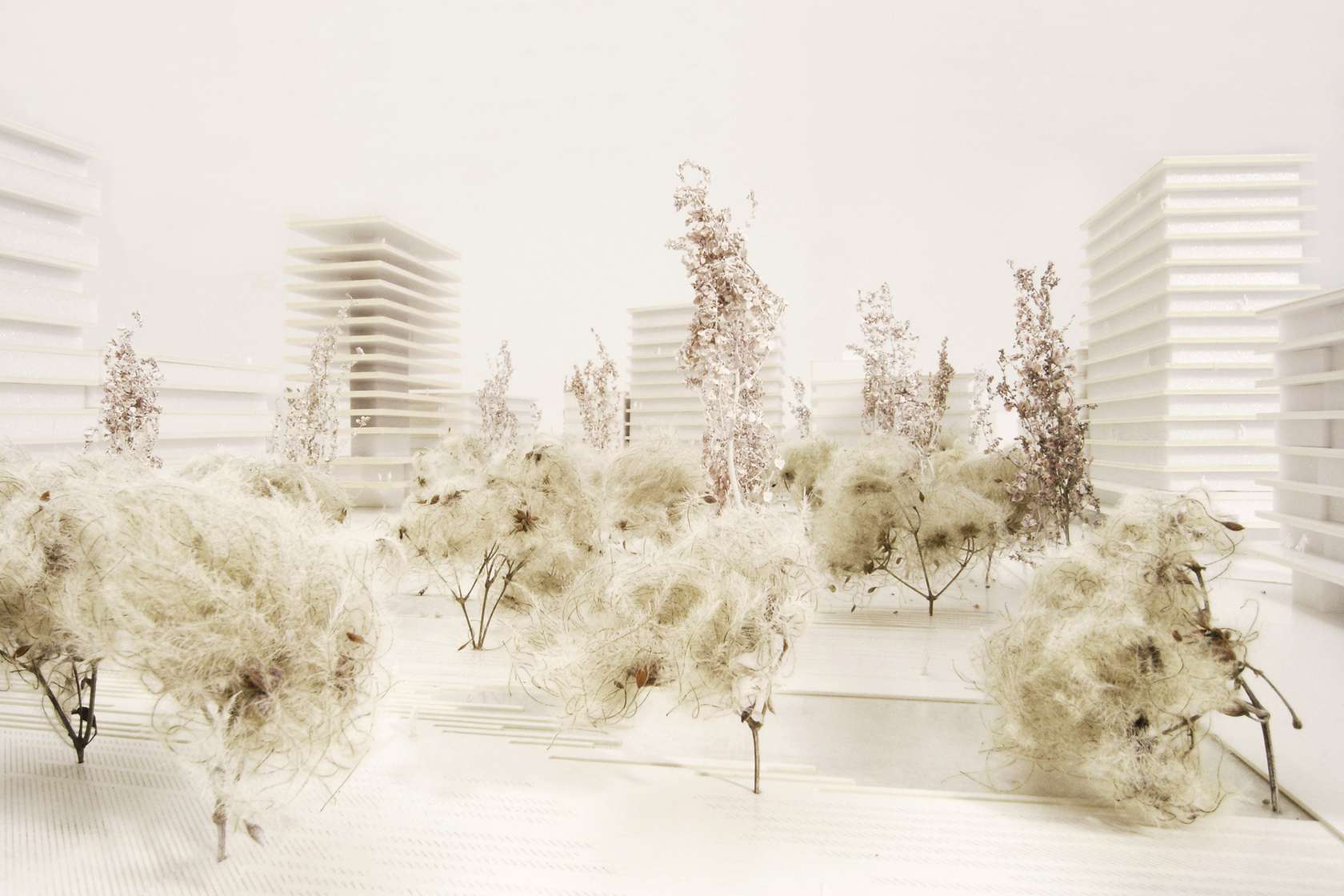 hhf-architects-architizer
