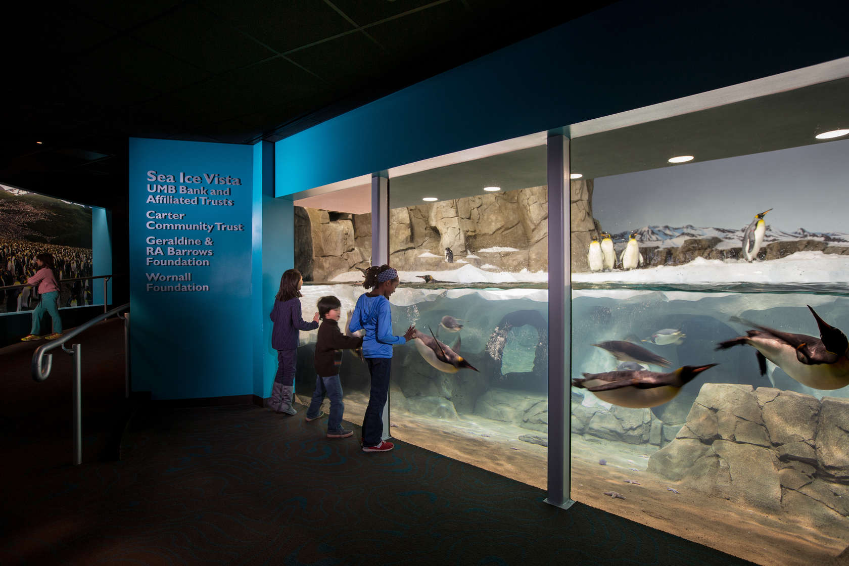 Penguin Exhibit at the Kansas City Zoo - Architizer