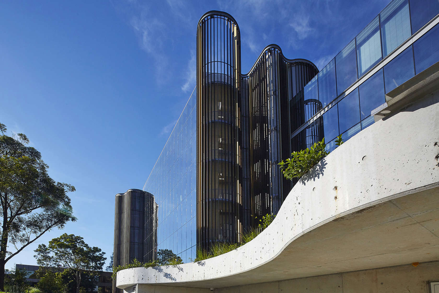 Novartis Australia HQ Building Architizer