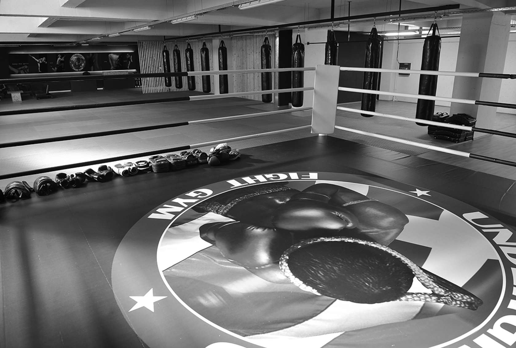 Underground Fight Gym Architizer