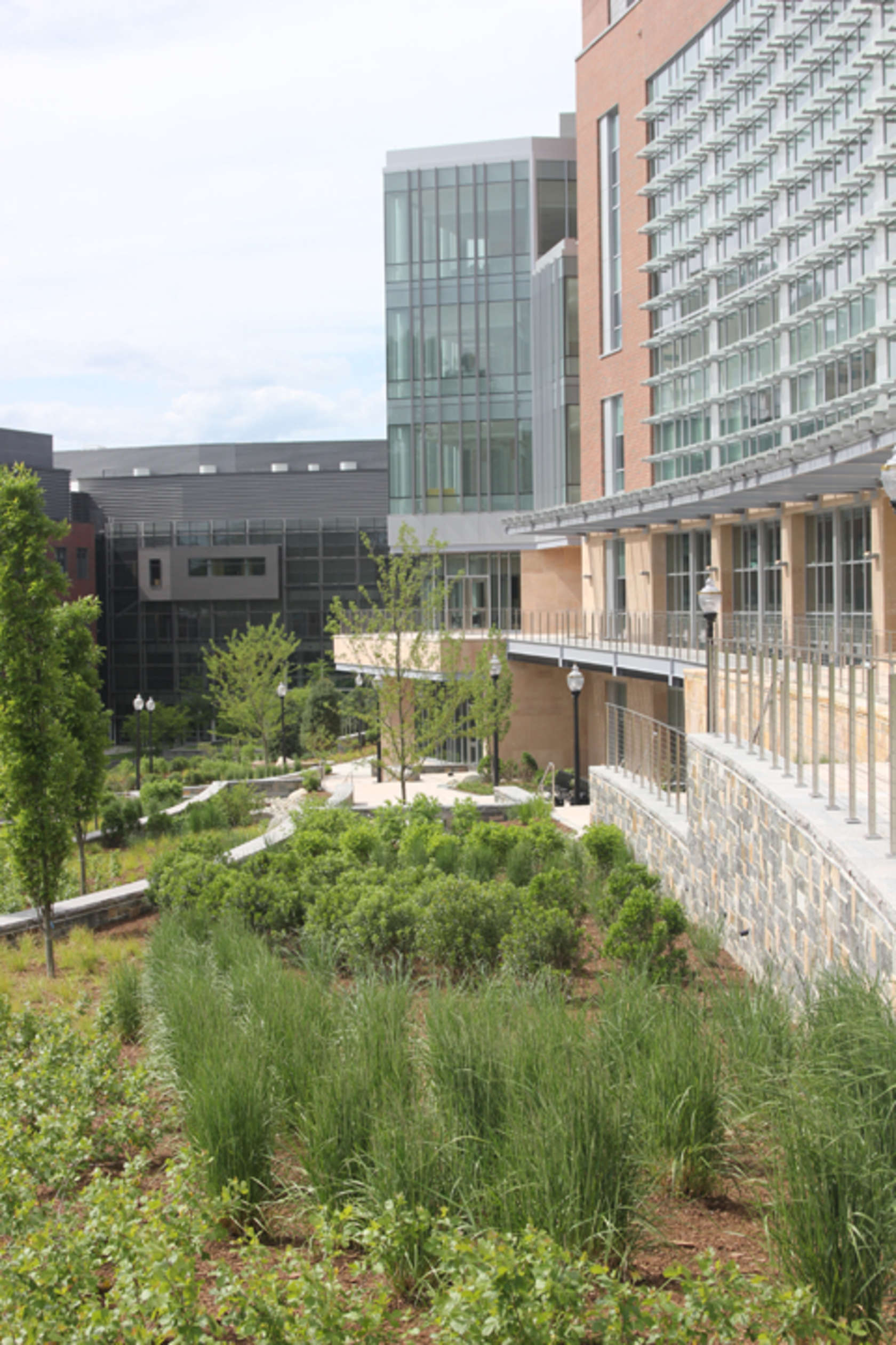 Umass Life Science Lab Building Architizer 