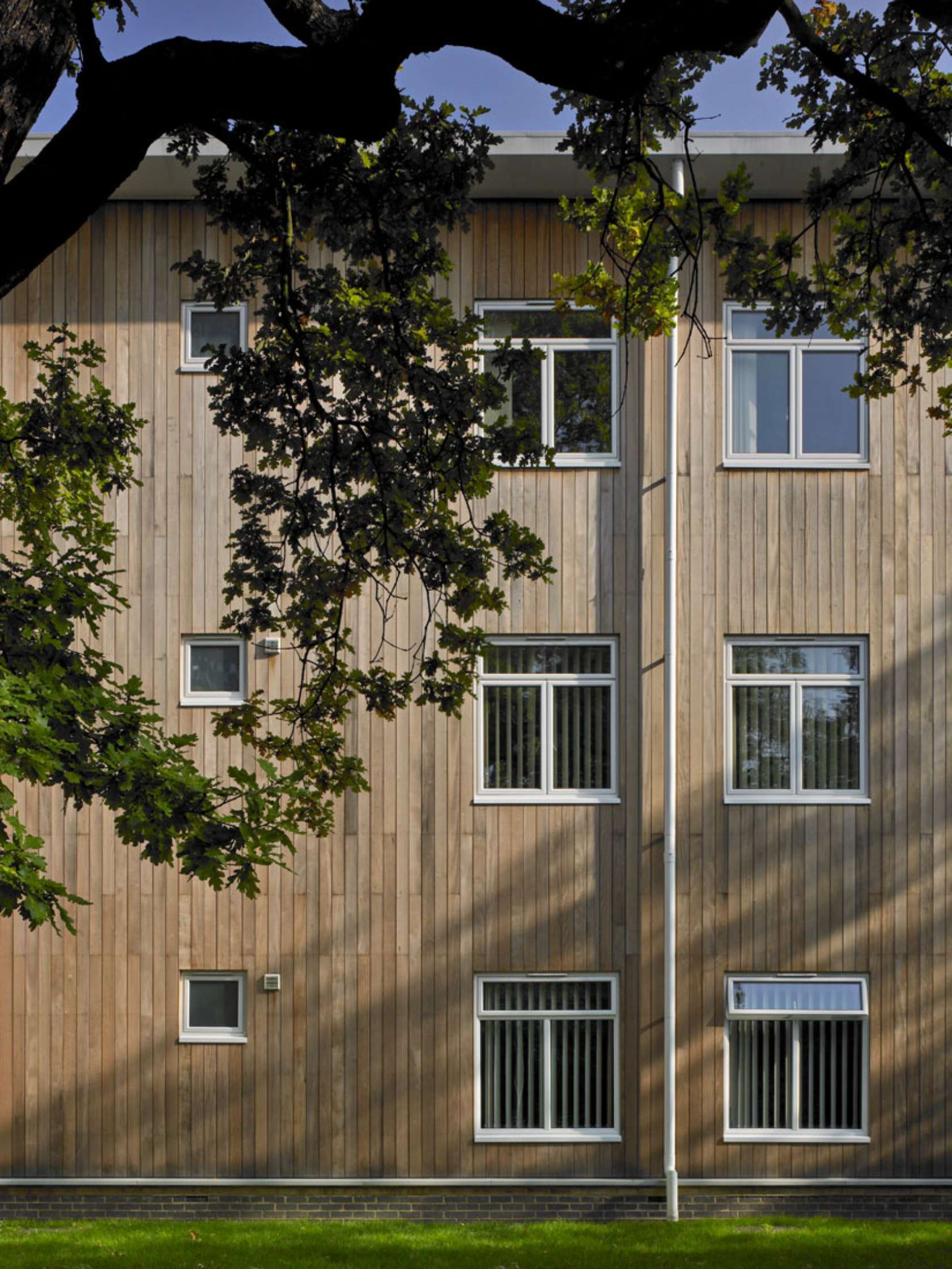 Linden Lodge School - Architizer